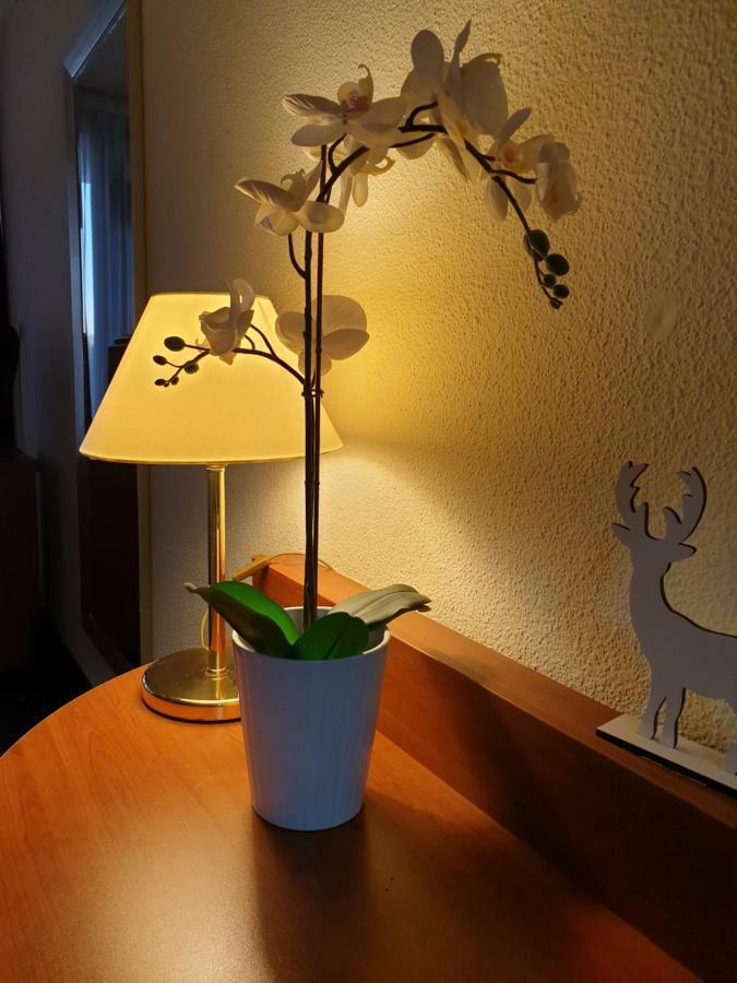 Apartment Am Kranichsee Vier Jahreszeiten Goslar Bagian luar foto